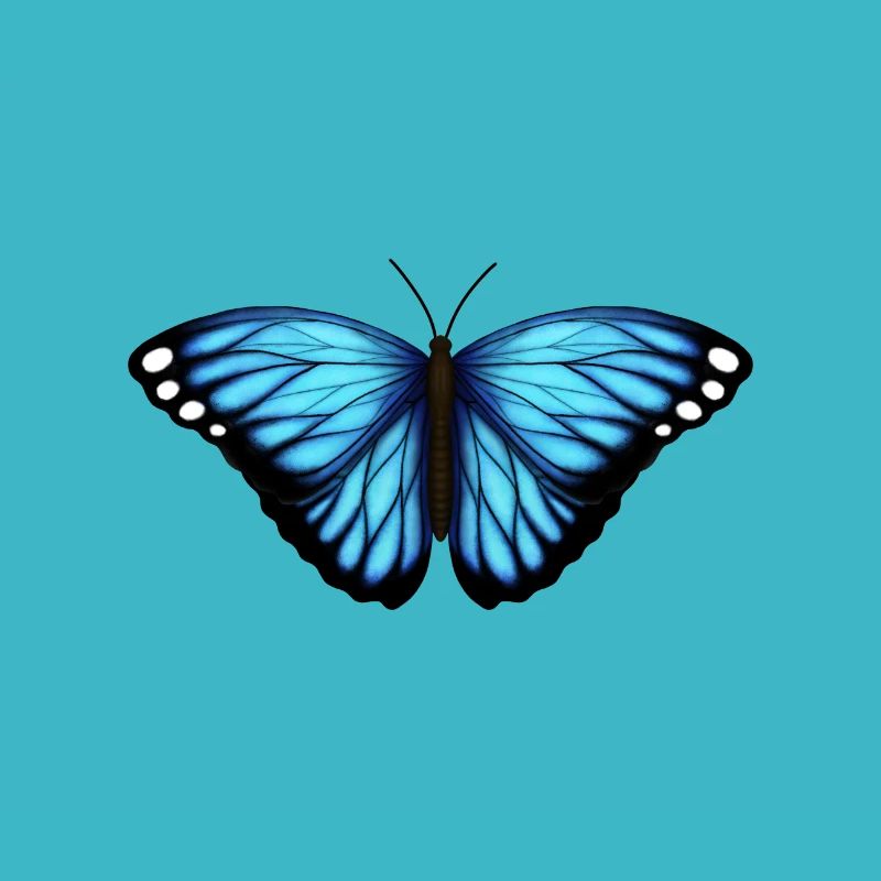papillon bleu