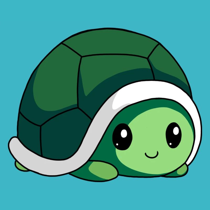 littel cute bébé Turtle