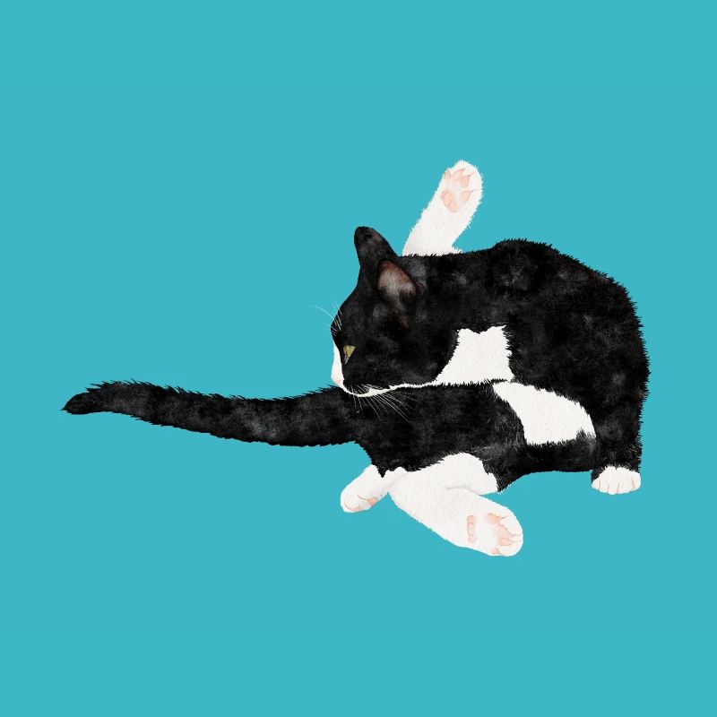 Chat