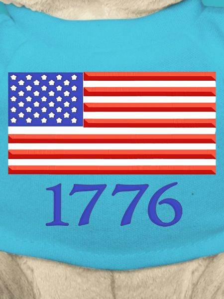 1776 American Flag Embroidered