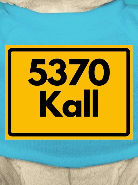 ANCIEN CODE POSTAL RETRO 5370 KALL