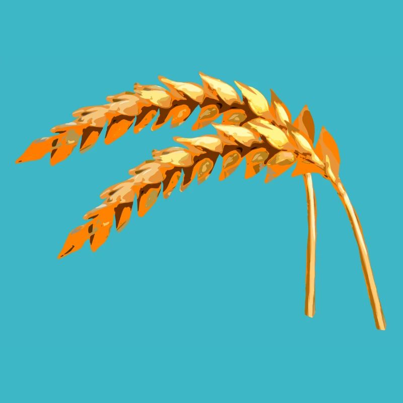 grain