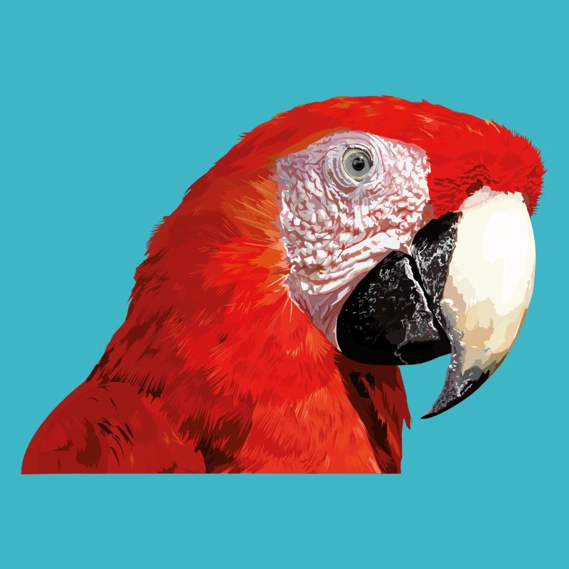Roter Ara