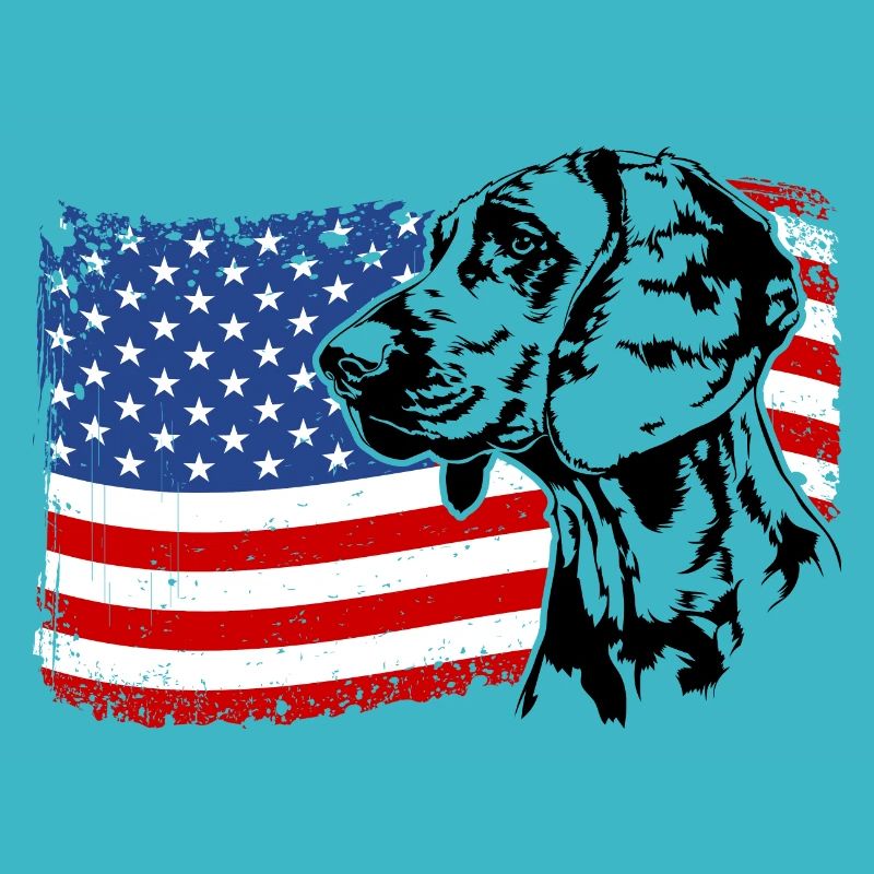 Chien de chasse à l’odeur hanovrienne Chiens de drapeau de l’Amérique