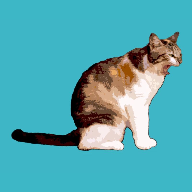 le chat