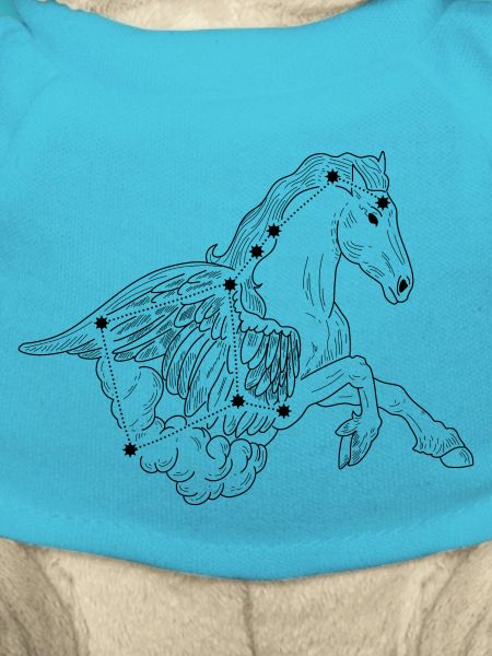 Constellation