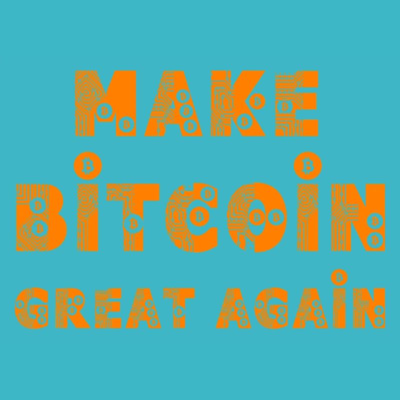 Make Bitcoin Great Again 