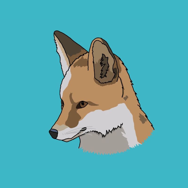Fox, dessin, idée cadeau
