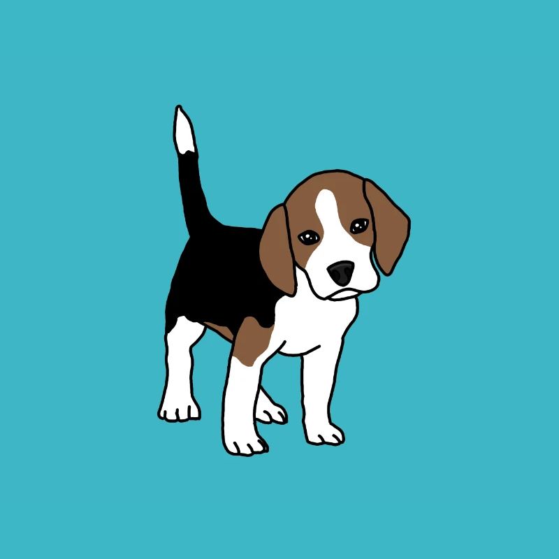 Beagle, chiot, chien