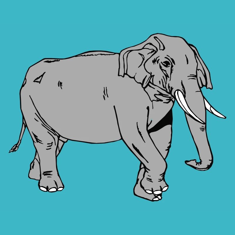 Elefant
