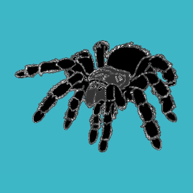 Tarentule, araignée, grande araignée, noir