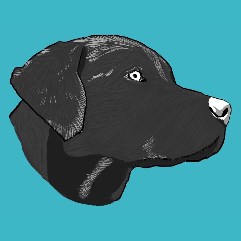 Dessin d’un Labrador Retriever de profil