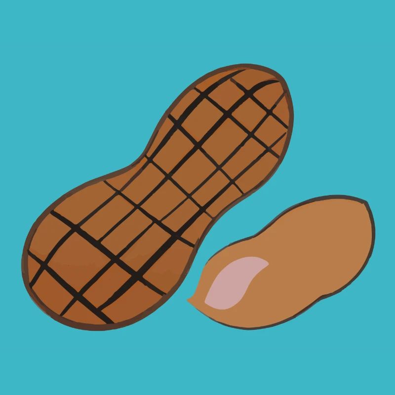 Illustration de noix d’arachide