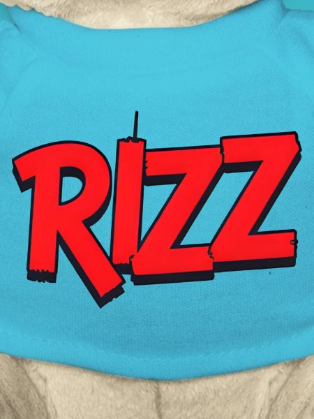 rizz