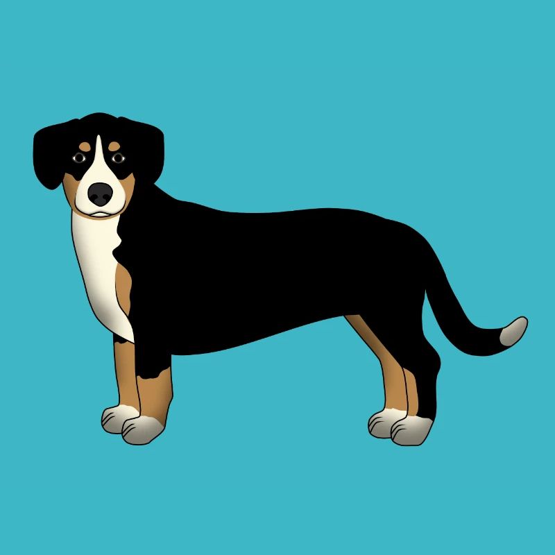 Entlebucher vorn