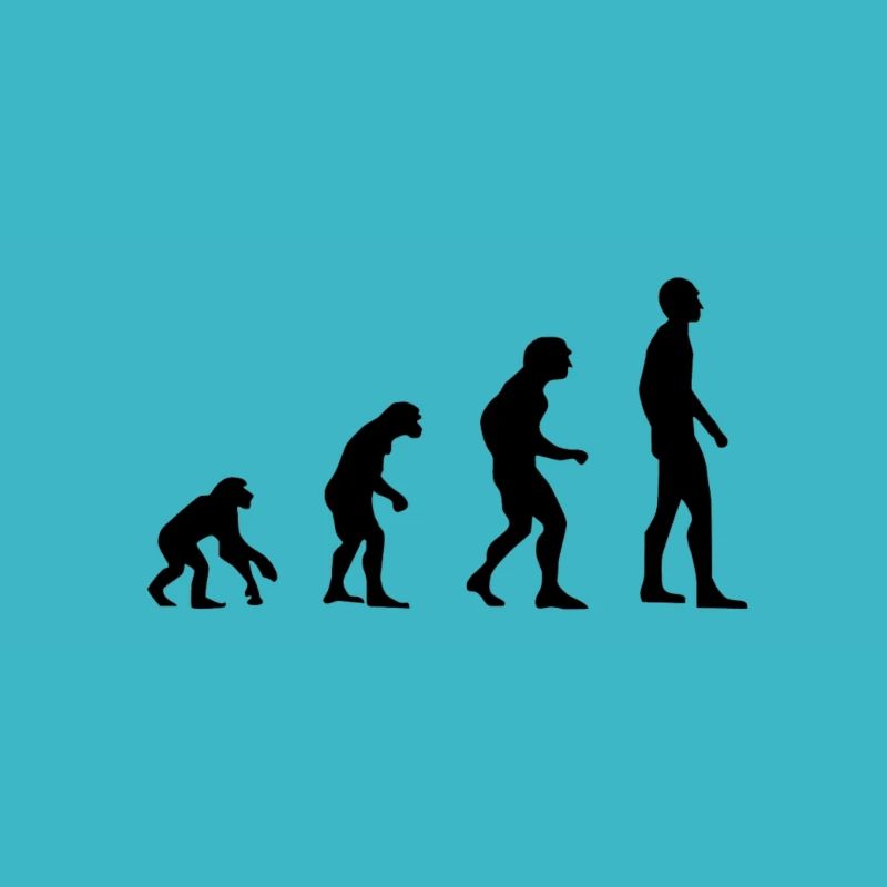 Evolution human