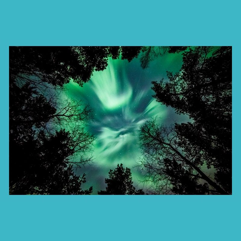 Grüne Nordlichter im Wald