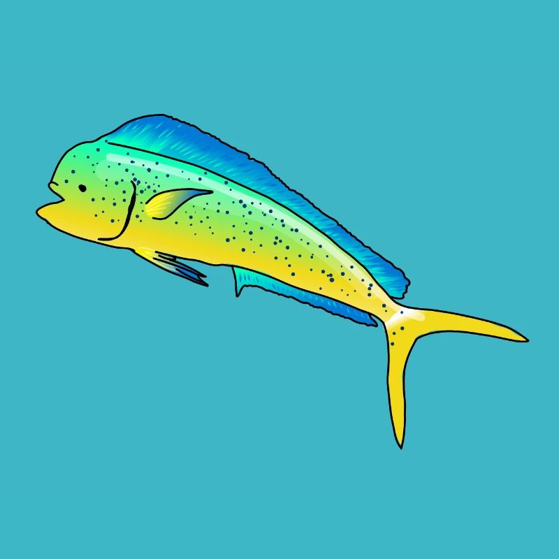Mahi mahi (dorade tropicale coryphène)