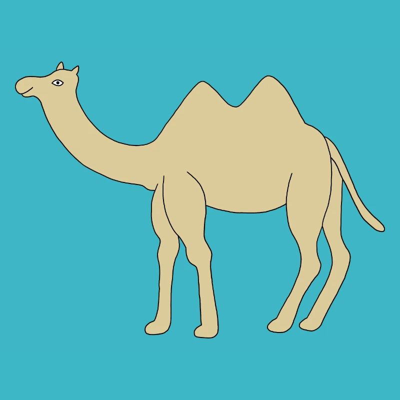 Einsames Kamel