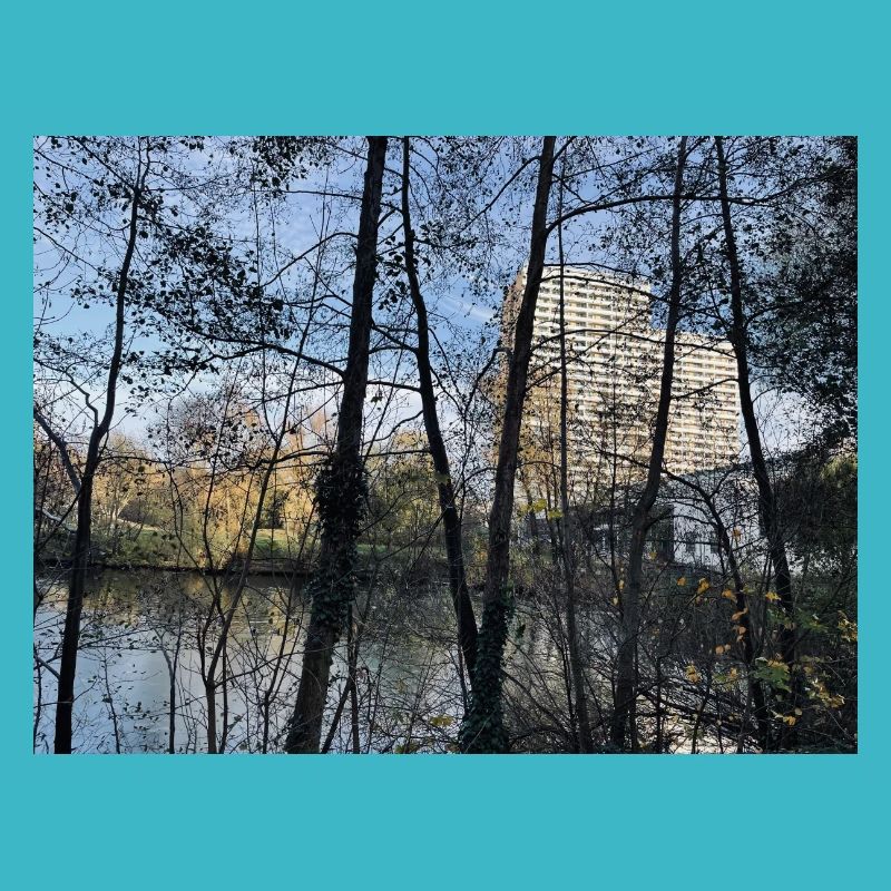 House blue sky trees
