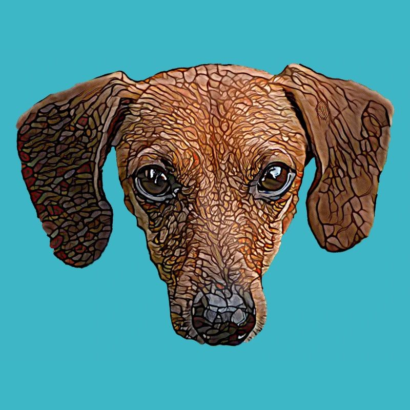 Dackelgesicht