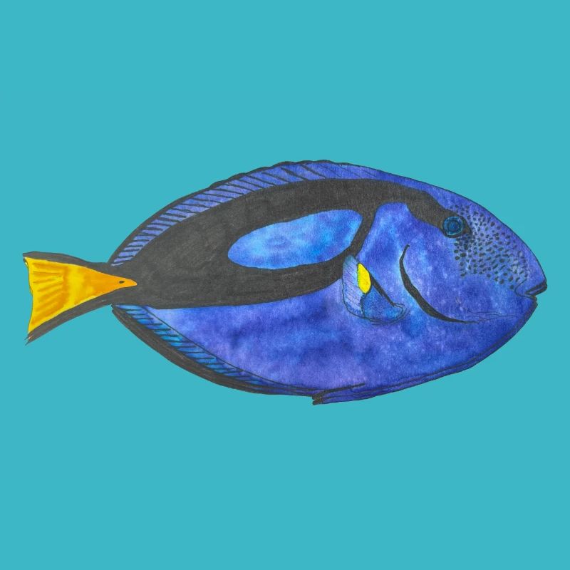 Blue Surgeonfish Snorkeling Fish Aquarium Reef