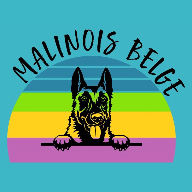 Belgian Malinois Belgian Malinois