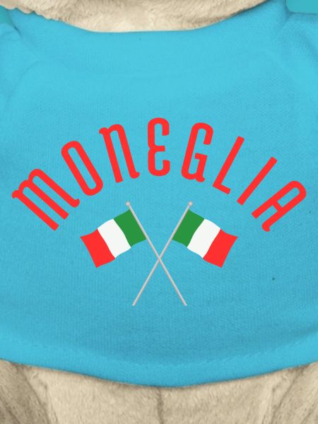 Moneglia Italian Flags Crossed Emblem