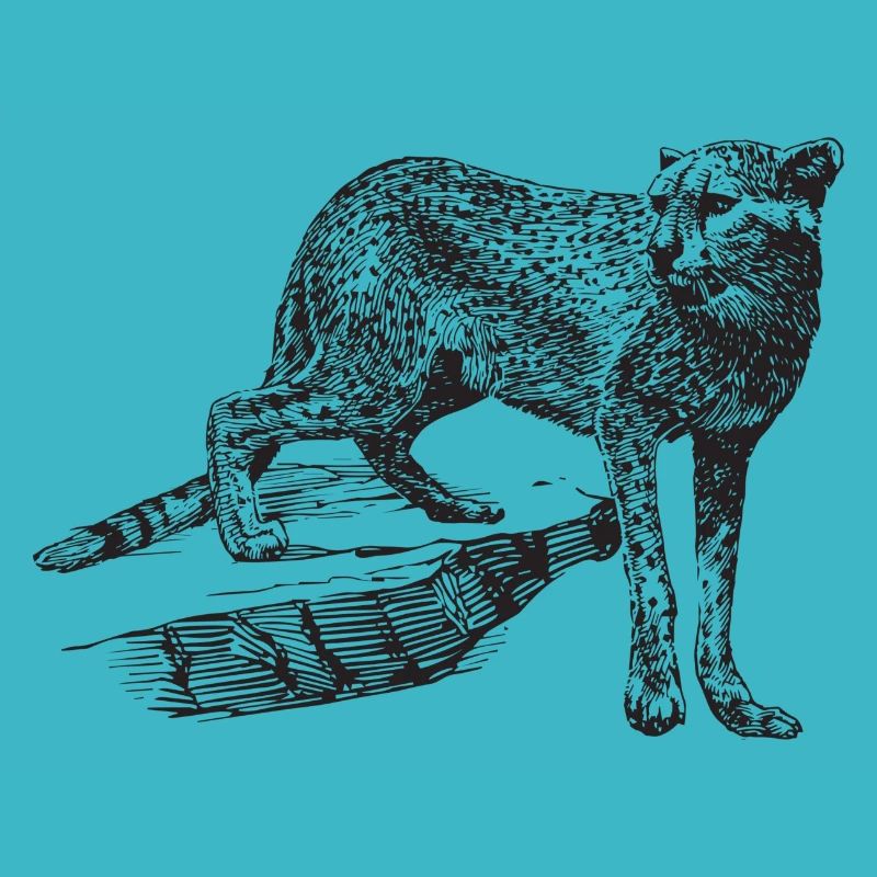Leopard Geschenk