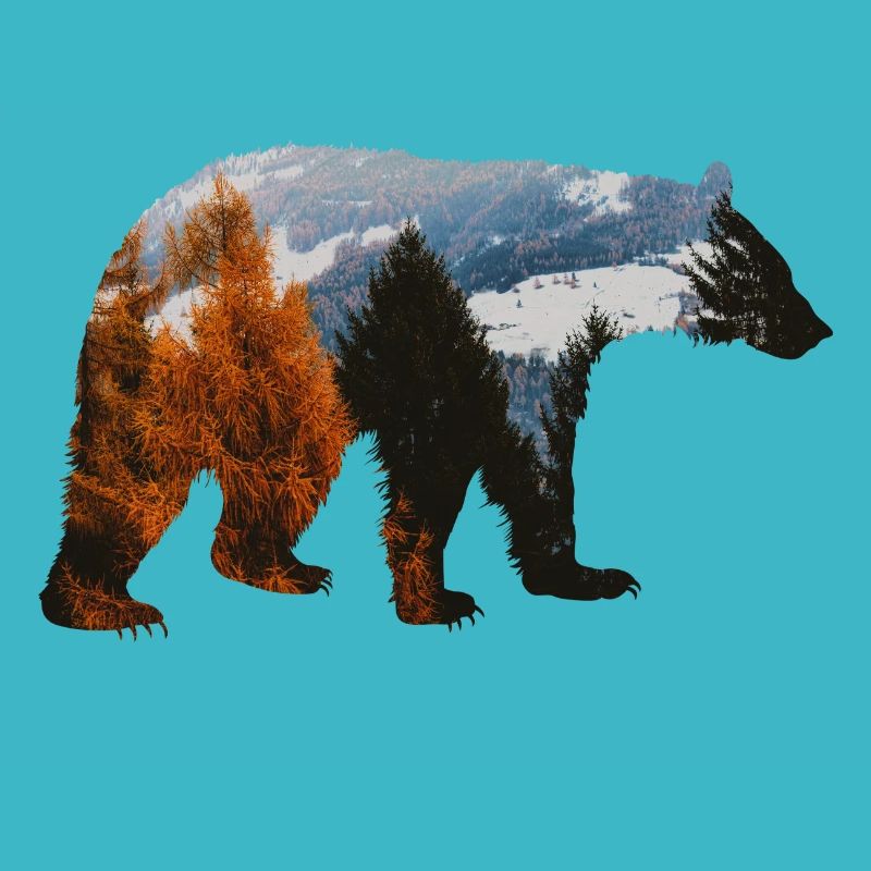 Bärenwald-Abenteuer