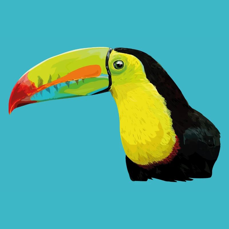 Toucan à bec vert