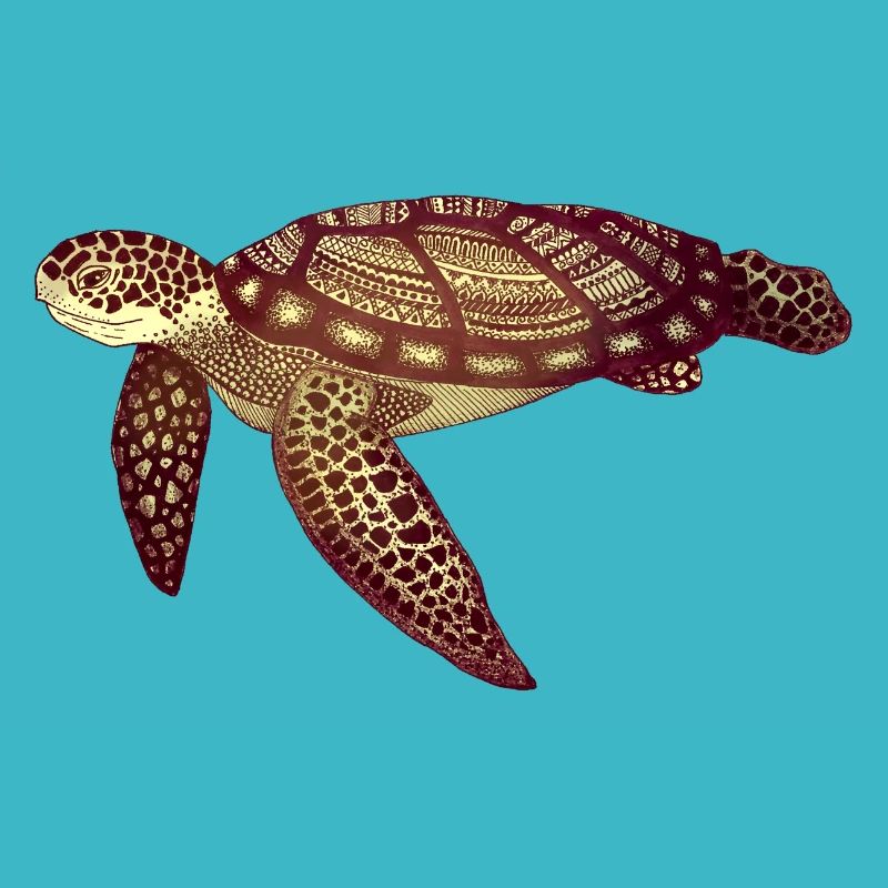 Sea Turtle | Sea turtle