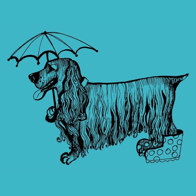 Cocker spaniel