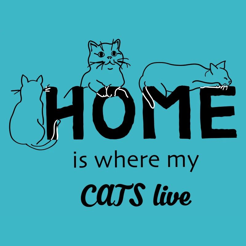 Katzen Zuhause
