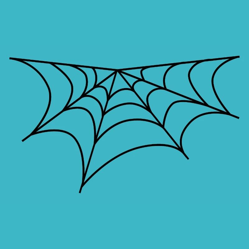 Spider web
