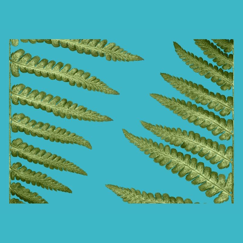 Abstract fern patterns