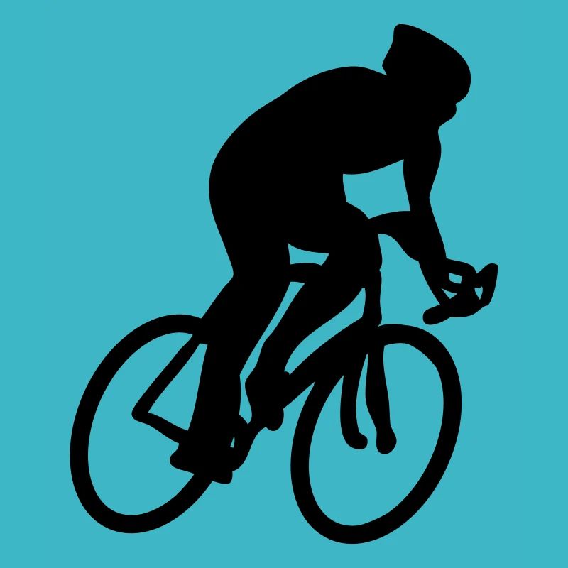 Bicycle Racing Bicycle