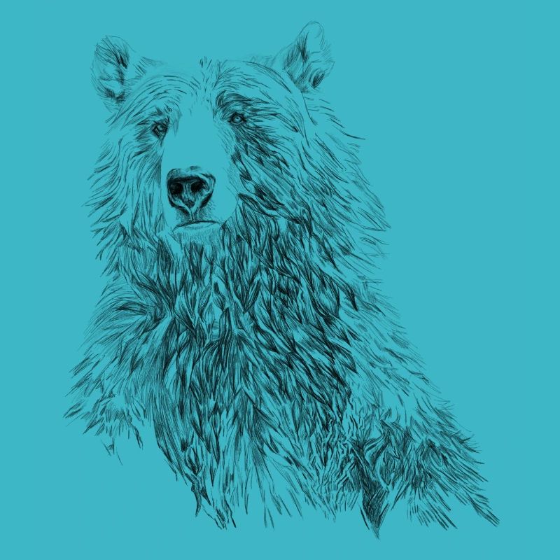BÄR