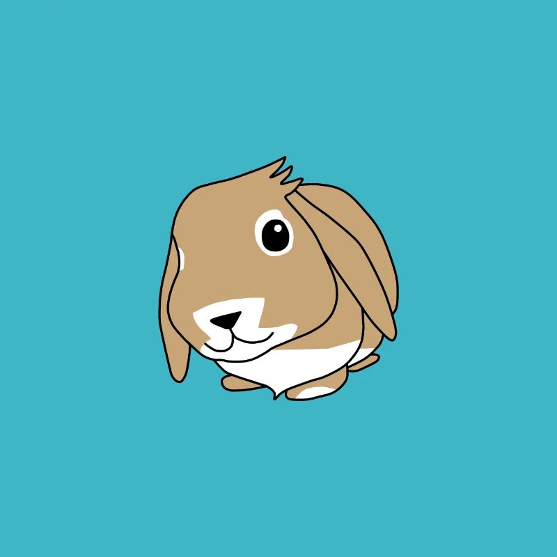 Rabbit - Zwergwidder