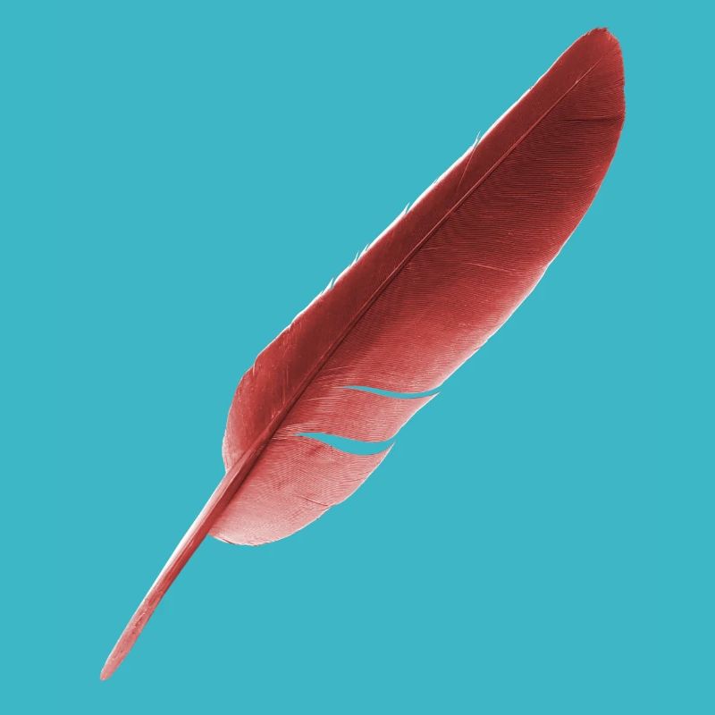 feather