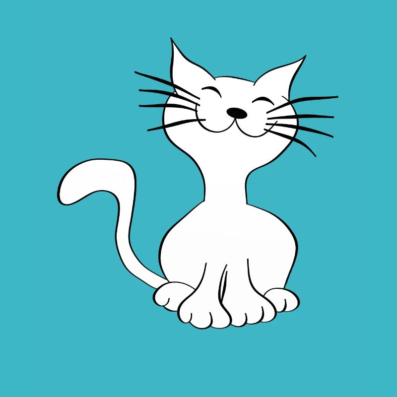 chat