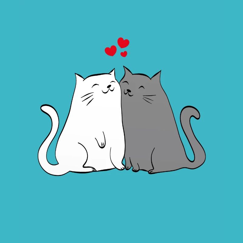 chats