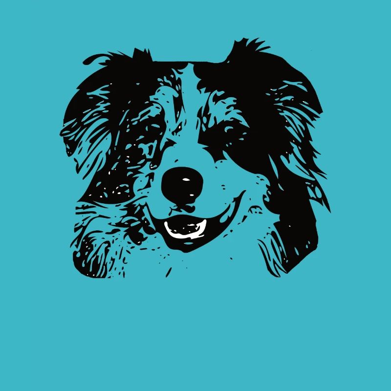 Australischer Schäferhund Australier