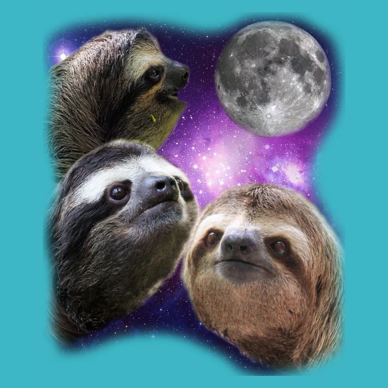 Three Sloths Howling At Moon Like Wolves