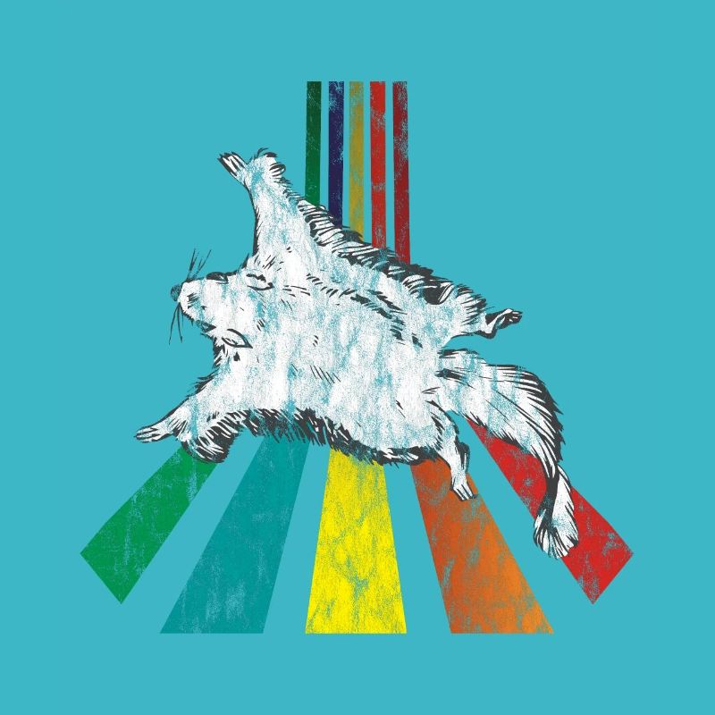 Rainbow flying squiggles distressed look