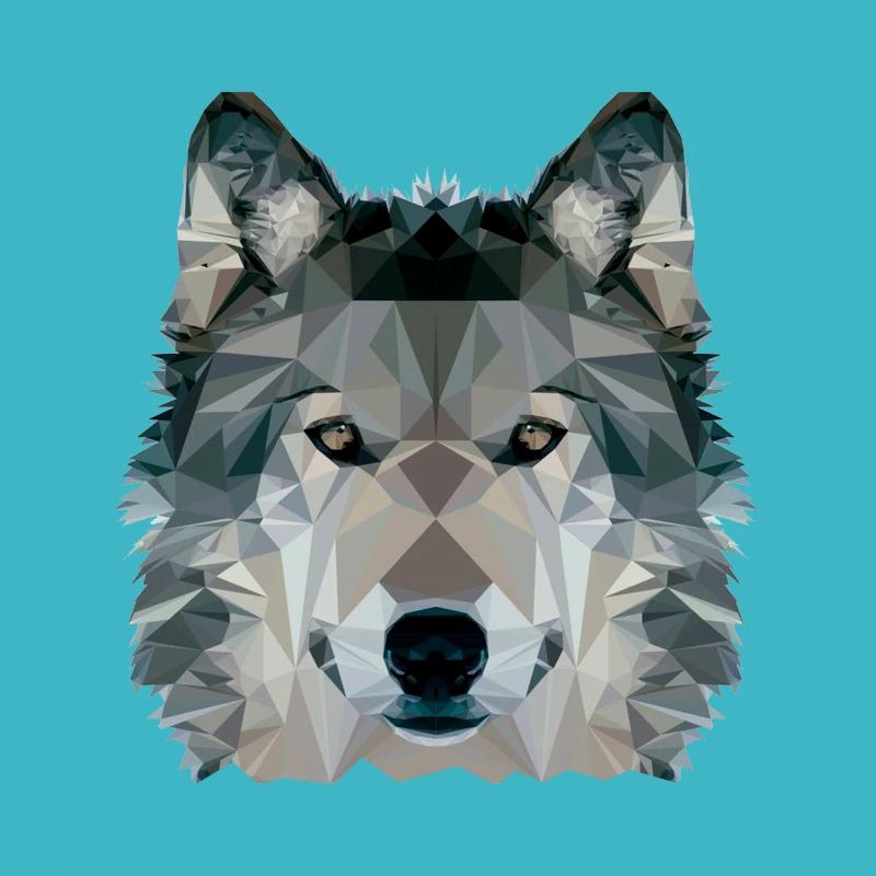 Wolf Face Low Poly Design, Wolf Face Clip art