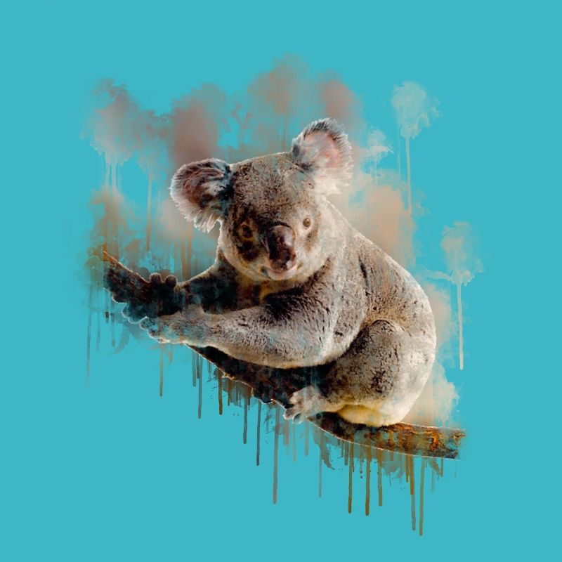 Koala bear australia gift shirt