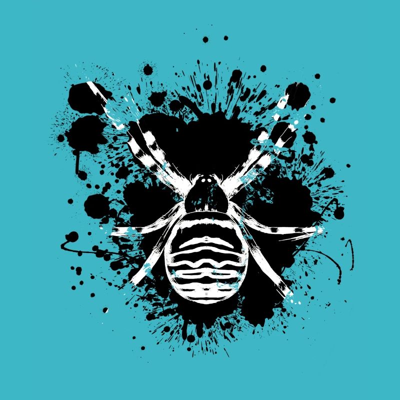 Spider danger - spider web