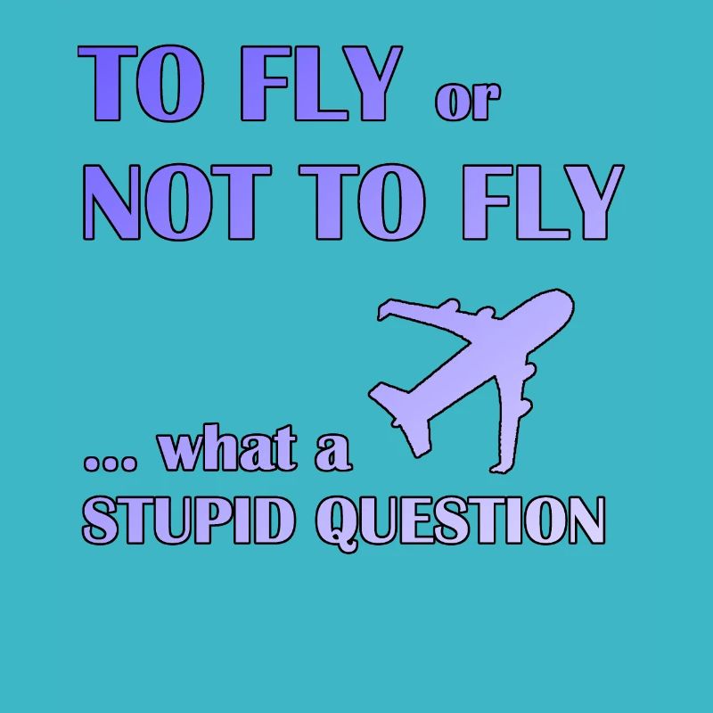To fly or not fly pilot