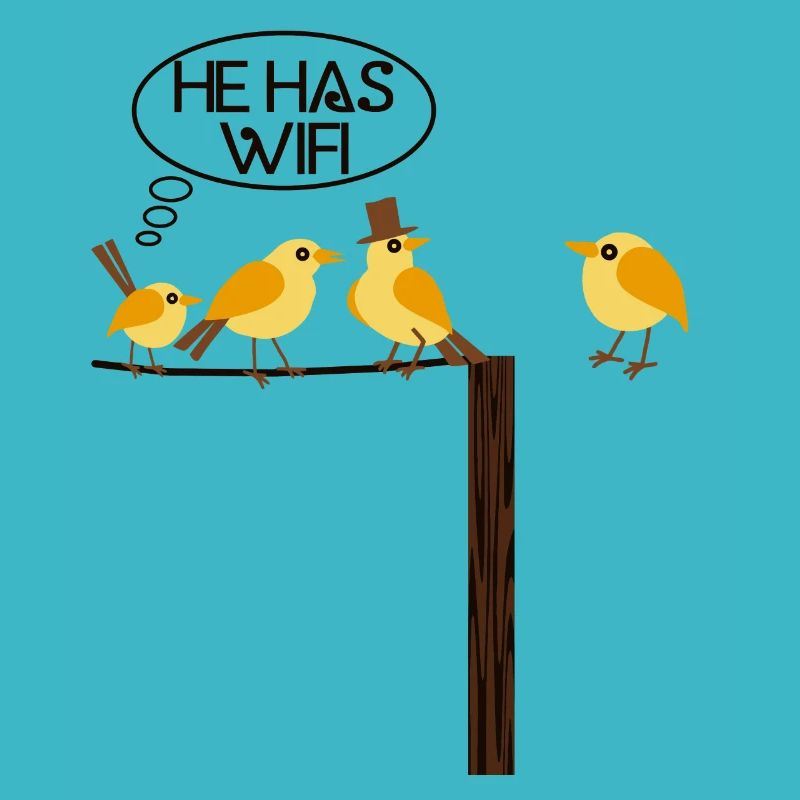 WLAN WIFI Vogel online Informatik